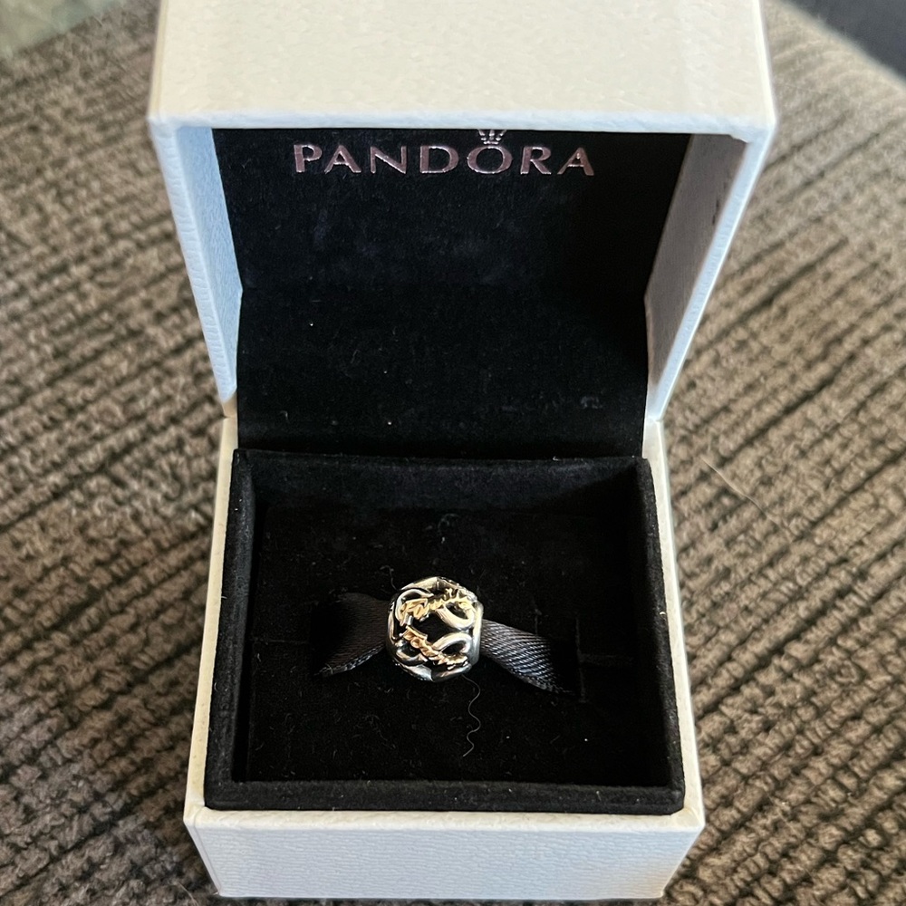 Retired Two Tone 14k Gold & Sterling Silver Family Forever Pandora Charm